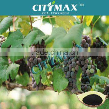 Leonardite Origin Humic Acid Production