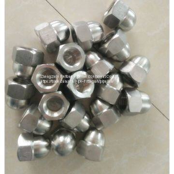 904L M20 cap nut