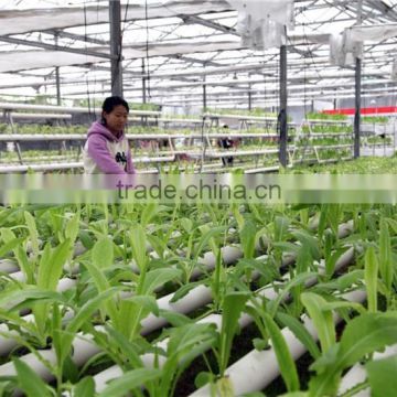 PVC Pipe Hydroponic System with Top Quality