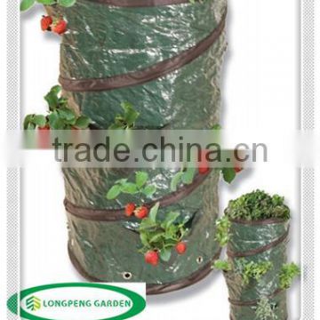 High Cost-effective PE Pop Up Strawberry Planter Bag