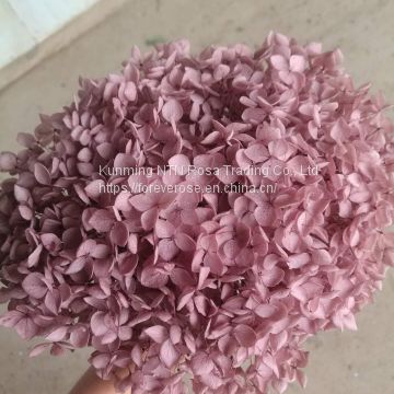 DIY Glass Dome Filling Supplies 20g Real Preserved Hydrangea Macrophylla