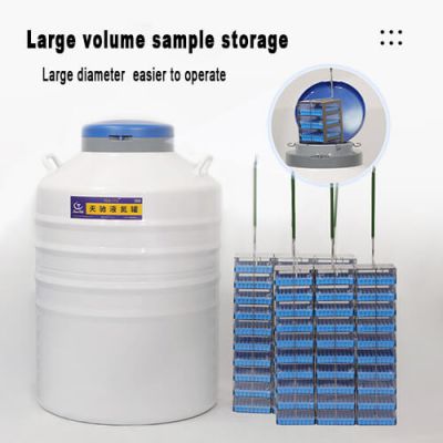 Brunei liquid nitrogen tanks for cell storage KGSQ cryogenic liquid nitrogen container