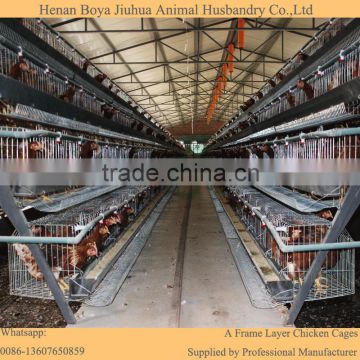 4 tier chicken layer battery cage for tanzania poultry farm house design                        
                                                                                Supplier's Choice