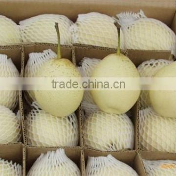 China export fresh Ya pear