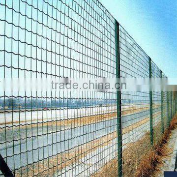 China supplier epoxy coated welded wire mesh (factory price and export)