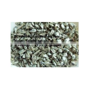 Dried anchovy head/ Anchovy Head For Sell/ Anchovy Head for animal feeding