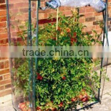 tomato greenhouse,greenhouse agricultural,home greenhouse for flower and plant