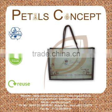PP non woven promotional bag