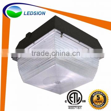 Hot selling led torch light gas station led canopy lights with menwell driver