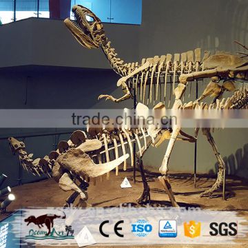 Hot Sale Realistic Jurassic Park Dinosaur Skeleton