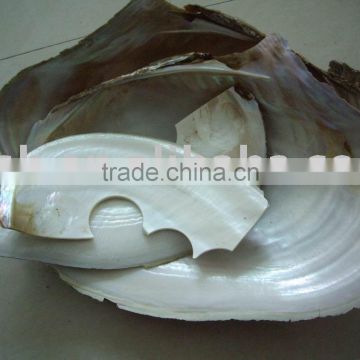 cracked broken raw chinese river shell