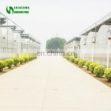 Top Quality Single Span Polyethylene Film Greenhouse Manufacturer