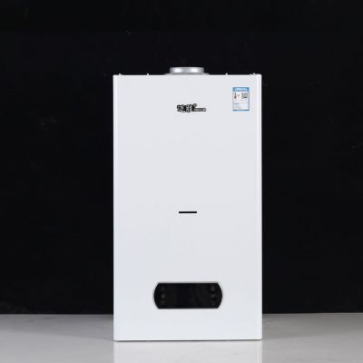 MS-2  20kw 24kw 28kw Wall mounted gas heating and hot water heater boilers wall hung gas boiler