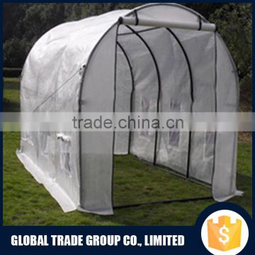 Steel Pole And PE Tunnel Greenhouse 551561