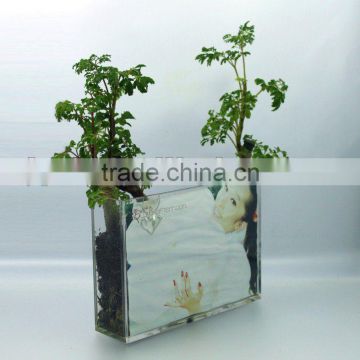 cube acrylic vase fillers