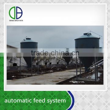 New design popular save time and labor hog raising feed system