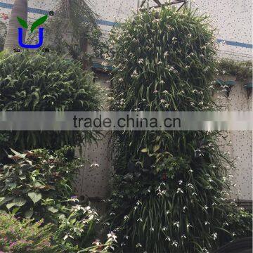 High quality imitated decorative artificial plants standing wall