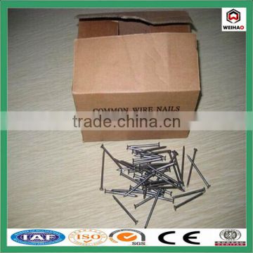 China Iso Factory Good quality Construction hot sale Common wire nail