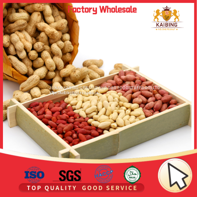 BLANCHED GROUNDNUT KERNEL AT VERY GOOD PRICE