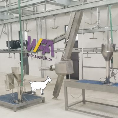 Turnkey Project Lamb Abattoir Sheep Skin Removed Equipment Goat Slaughter House Machine