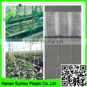 support net for cucumbers&cucumber trellis net&hdpe support flower net