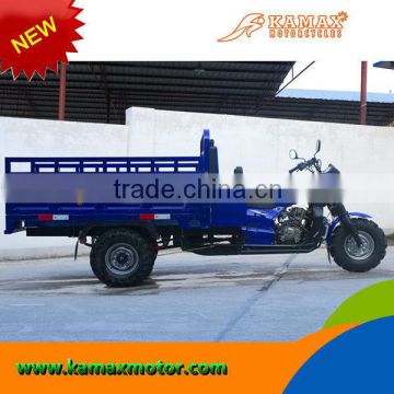 2014 South America 300cc Cargo Tricycle Adult