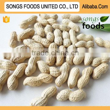 Best Selling Products Songs Foods Raw Peanut Inshell