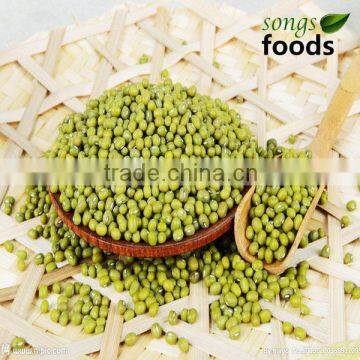 Green Mung Beans In China