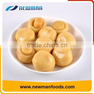 2017 new crop canned mushrooms whole 800g