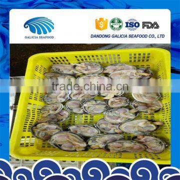 new arrival frozen washington clams seafood with giant specification