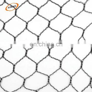 Plant Protection Tree Anti-bird net Agricultural field