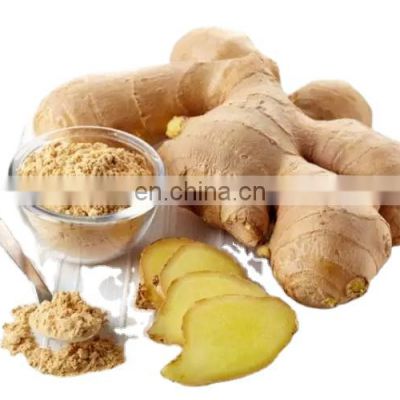 Chinese frozen ginger new nutritional supplements iqf frozen ginger slice different type cube dice slice of Chinese factory