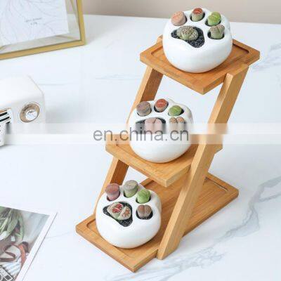 Simple White Creative Succulents Ceramic Cute Kitten Claw Treetop Planter Bamboo Stand Combination Potted Flowerpot