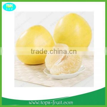 High quality sweet white pomelo fruit