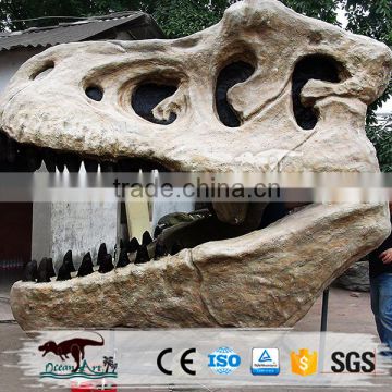 OA-SD-L35 Museum Exhibition Equipment Dinosaur Skull
