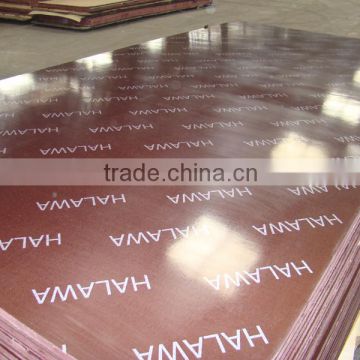 China manufacturer high quality plywood film faced for building
