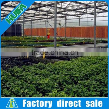 4m Agriculture greenhouse wet wall evaporative cooling system and pads