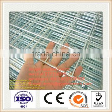 Factory price galvanized square wire mesh /woven wire mesh