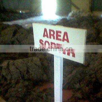 Sell Gracilaria, Eucheuma Spinosum And Eucheuma Cottoni Seaweeds