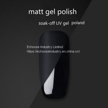 Matt UV/LED Nail Gel Polish Matt Top Coat Soak Off Gel Nail Art