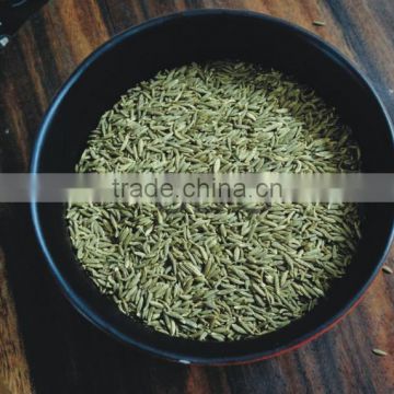 High Quality Low Price Fennel Seed