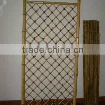 Bamboo fence Sun-013