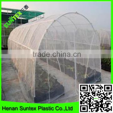 100% hdpe uv stabilized greenhosue used insect proof net