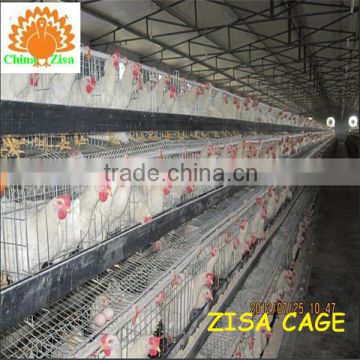 china zisa factory mainly produce Poultry chicken layer cage farm equipments cheap price