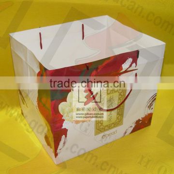 Custom Ribbon Handle Shopping Paper Bags