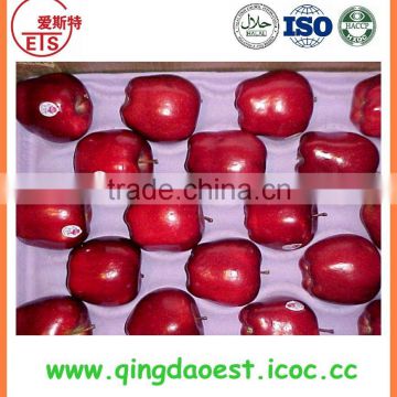 chinese sweet fruits hot sale red gala apple 10-20kg