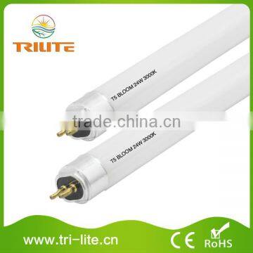 Low price guaranteed quality 24w t5 fluorescent lamp