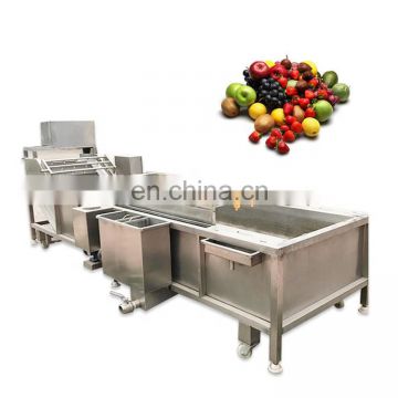 Chine professional factory price industrial commercial air bubble vegetable/apple/strawberry washer manufacturer