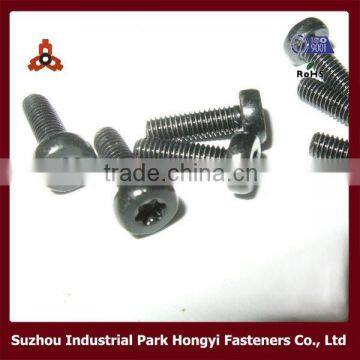 Factory Supply China Fasteners Flat Head T6 Torx Screws Black Plated