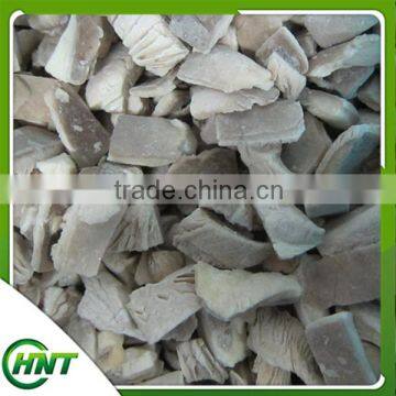 Hot Selling Iqf Oyster Mushroom